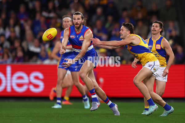 AFL 2025 Round 23 - Western Bulldogs v West Coast - A-61493788