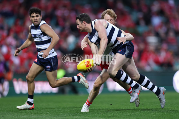 AFL 2025 Round 23 - Sydney v Geelong - A-61493843