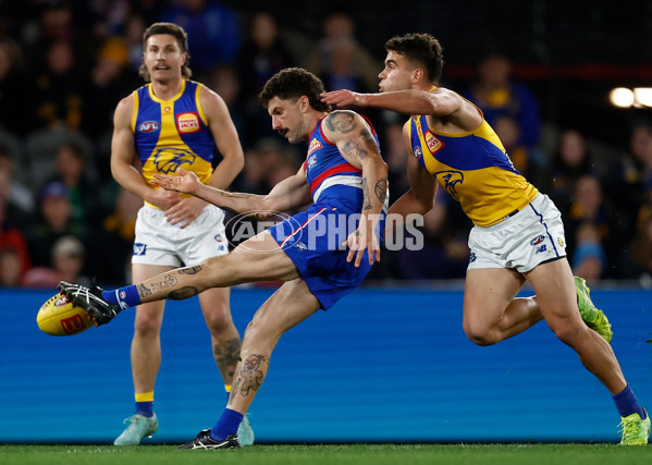 AFL 2025 Round 23 - Western Bulldogs v West Coast - A-61495702