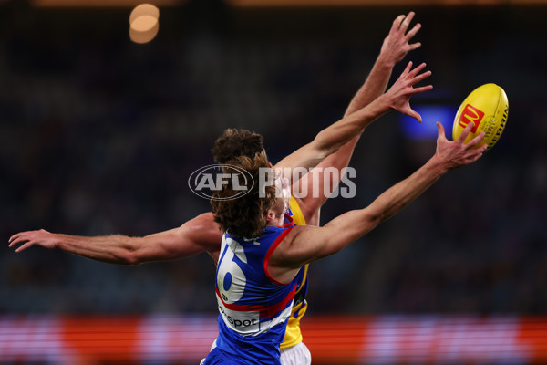 AFL 2025 Round 23 - Western Bulldogs v West Coast - A-61495743