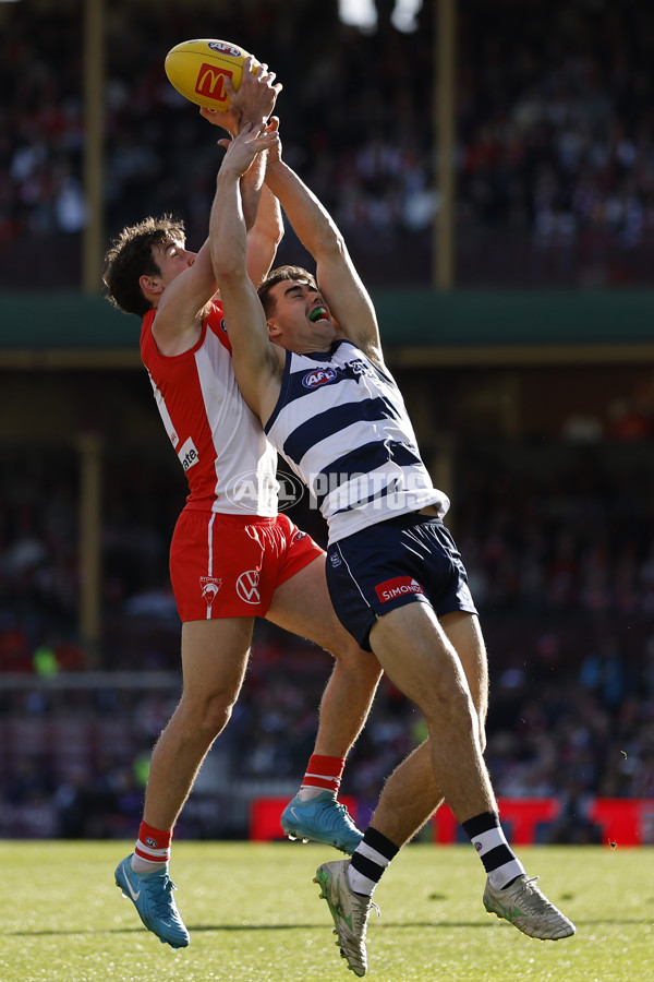 AFL 2025 Round 23 - Sydney v Geelong - A-61495745