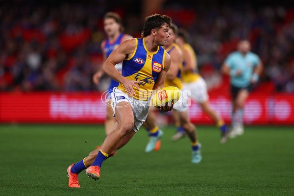AFL 2025 Round 23 - Western Bulldogs v West Coast - A-61496814