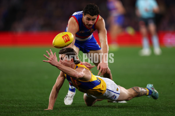 AFL 2025 Round 23 - Western Bulldogs v West Coast - A-61496825