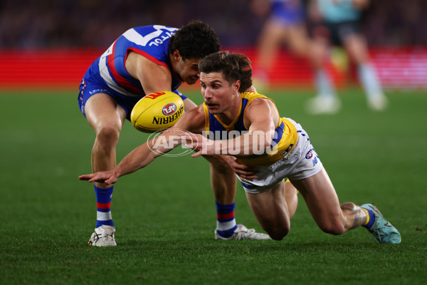 AFL 2025 Round 23 - Western Bulldogs v West Coast - A-61496826