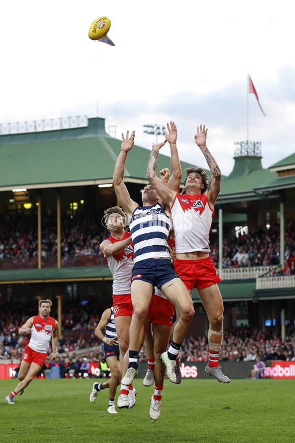 AFL 2025 Round 23 - Sydney v Geelong - A-61496867