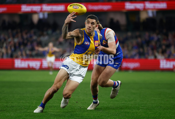 AFL 2025 Round 23 - Western Bulldogs v West Coast - A-61496875