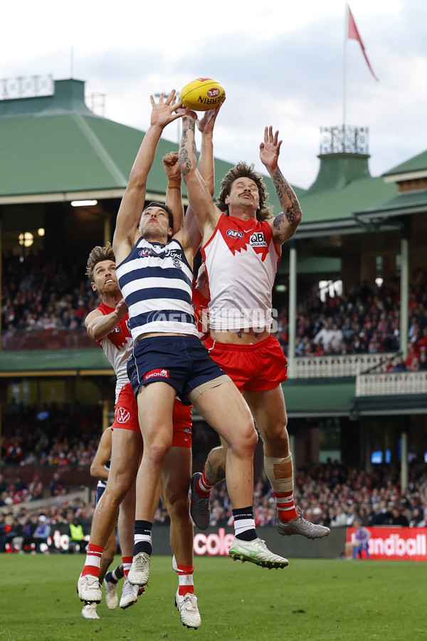 AFL 2025 Round 23 - Sydney v Geelong - A-61498427