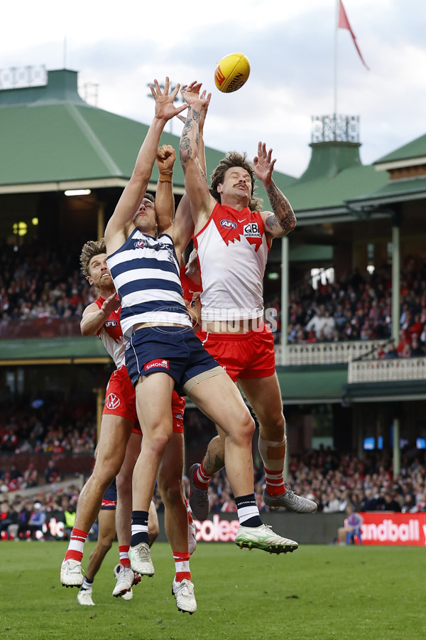 AFL 2025 Round 23 - Sydney v Geelong - A-61498428