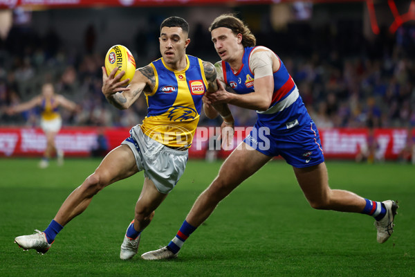 AFL 2025 Round 23 - Western Bulldogs v West Coast - A-61498437