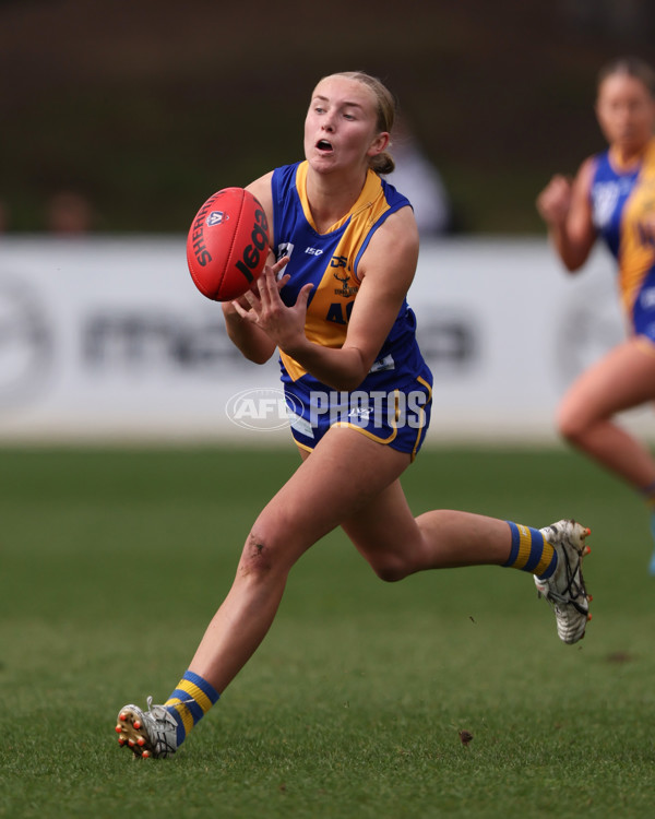VFL 2025 First Semi Final - North Melbourne Werribee v Williamstown - A-61498458