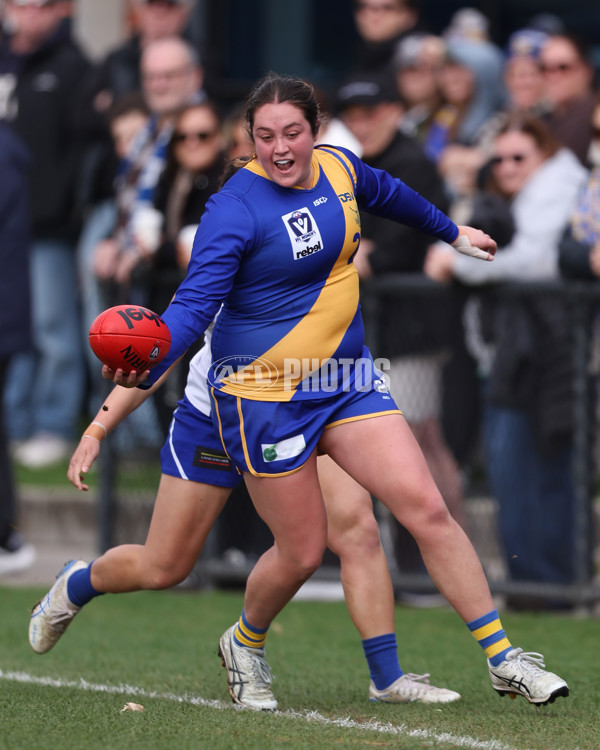 VFL 2025 First Semi Final - North Melbourne Werribee v Williamstown - A-61499717