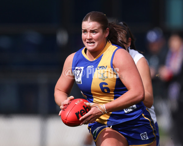 VFL 2025 First Semi Final - North Melbourne Werribee v Williamstown - A-61499721