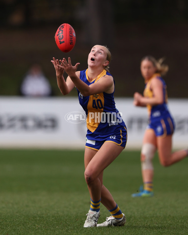 VFL 2025 First Semi Final - North Melbourne Werribee v Williamstown - A-61499722