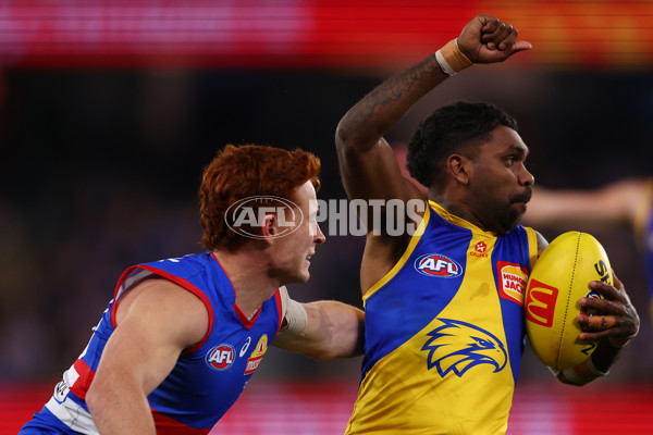 AFL 2025 Round 23 - Western Bulldogs v West Coast - A-61499772