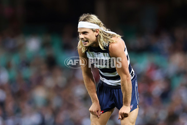 AFL 2025 Round 23 - Sydney v Geelong - A-61499784