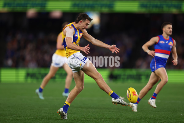 AFL 2025 Round 23 - Western Bulldogs v West Coast - A-61499792