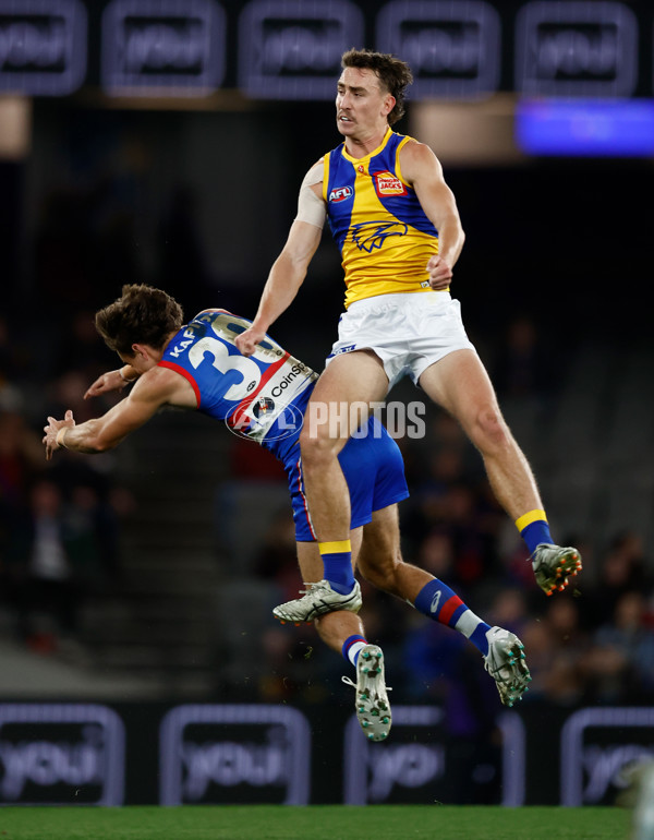 AFL 2025 Round 23 - Western Bulldogs v West Coast - A-61499802