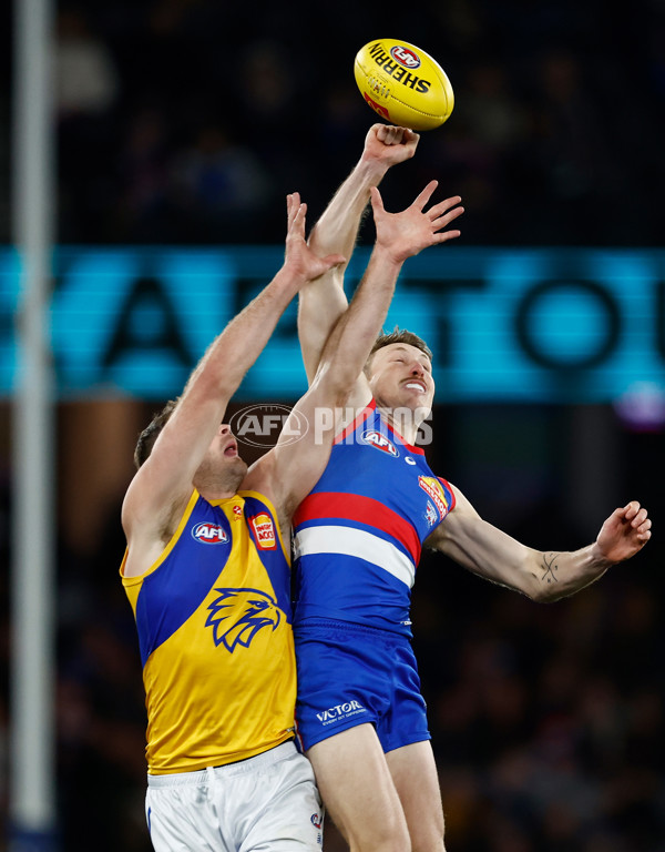 AFL 2025 Round 23 - Western Bulldogs v West Coast - A-61499803