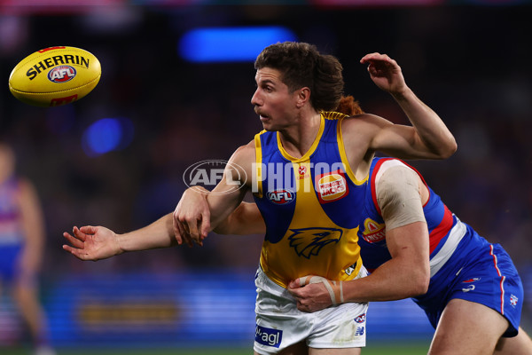 AFL 2025 Round 23 - Western Bulldogs v West Coast - A-61501140