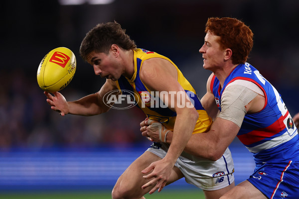 AFL 2025 Round 23 - Western Bulldogs v West Coast - A-61501145