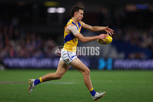 AFL 2025 Round 23 - Western Bulldogs v West Coast - A-61501162