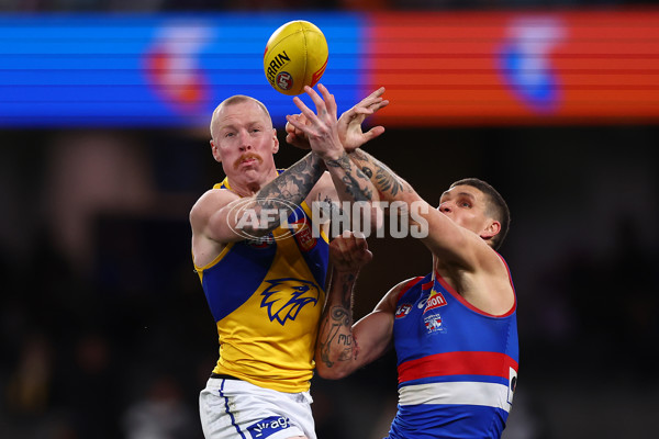 AFL 2025 Round 23 - Western Bulldogs v West Coast - A-61501187