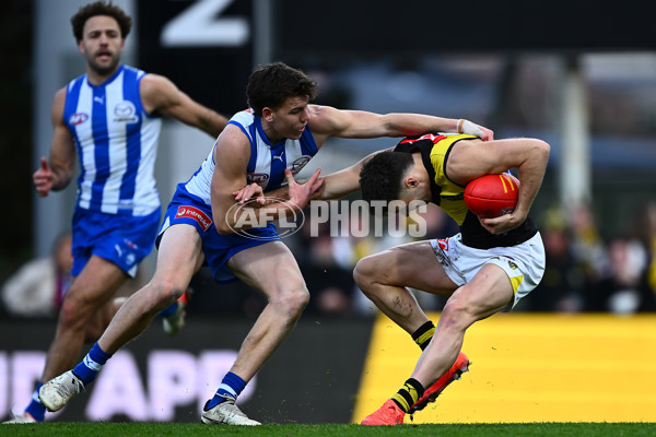 AFL 2025 Round 23 - North Melbourne v Richmond - A-61502882