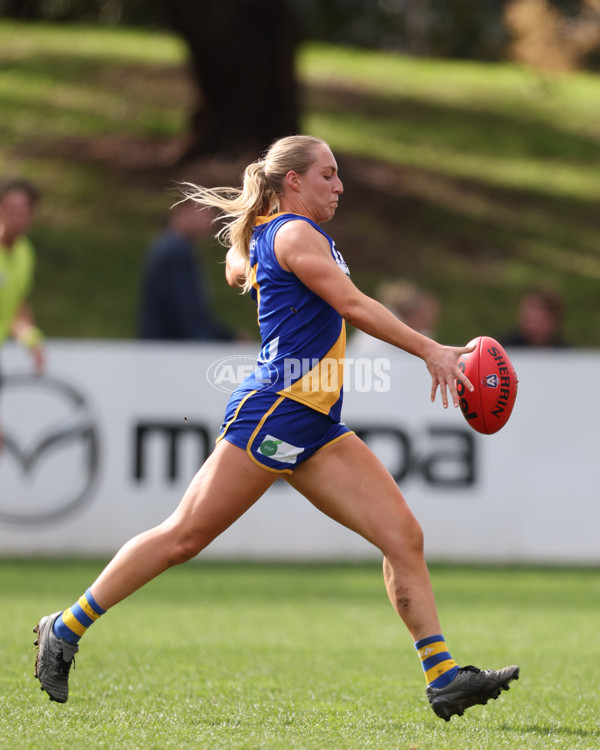 VFL 2025 First Semi Final - North Melbourne Werribee v Williamstown - A-61502931