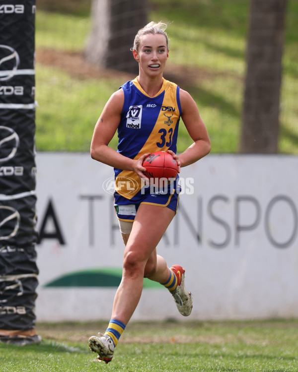 VFL 2025 First Semi Final - North Melbourne Werribee v Williamstown - A-61502934