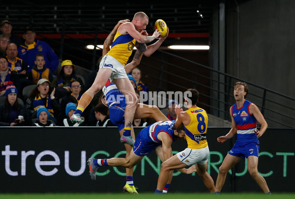 AFL 2025 Round 23 - Western Bulldogs v West Coast - A-61503953