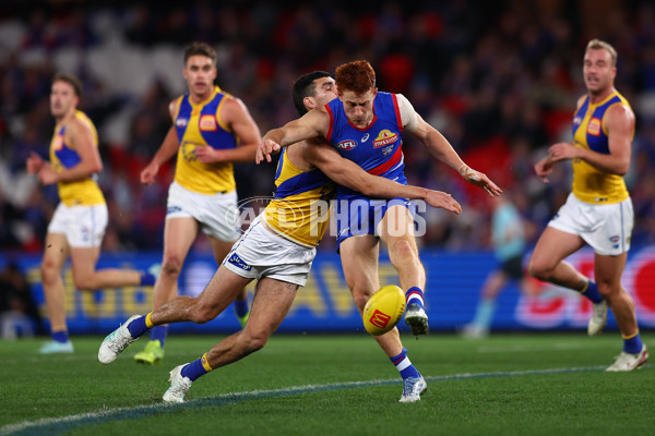 AFL 2025 Round 23 - Western Bulldogs v West Coast - A-61503963