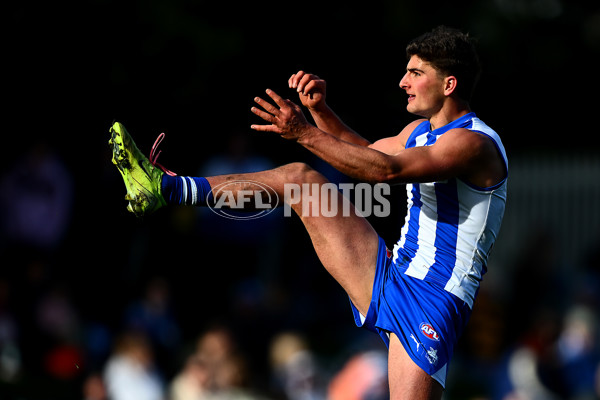 AFL 2025 Round 23 - North Melbourne v Richmond - A-61503987
