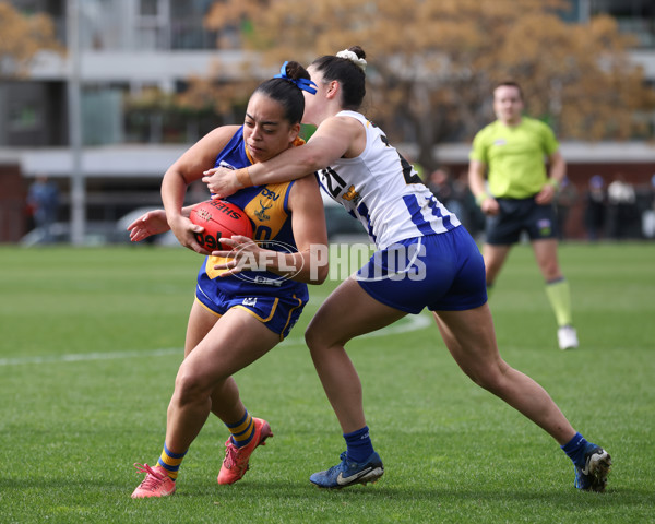 VFL 2025 First Semi Final - North Melbourne Werribee v Williamstown - A-61504005