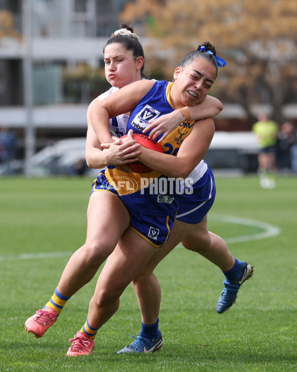 VFL 2025 First Semi Final - North Melbourne Werribee v Williamstown - A-61505365