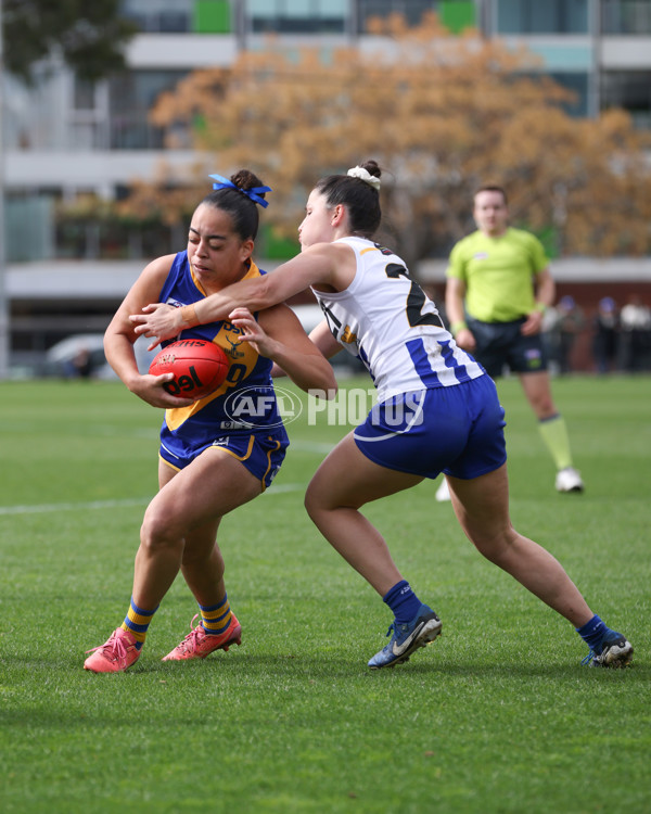 VFL 2025 First Semi Final - North Melbourne Werribee v Williamstown - A-61505389