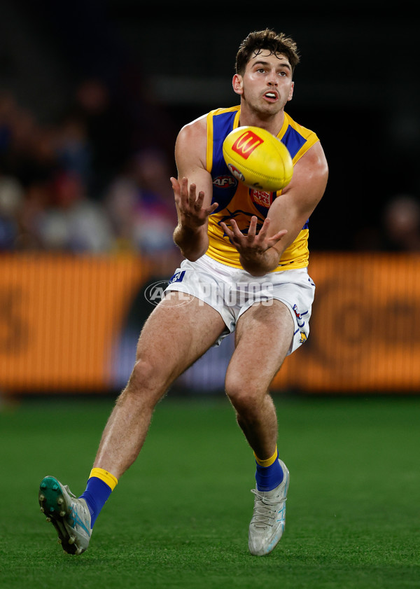 AFL 2025 Round 23 - Western Bulldogs v West Coast - A-61505439