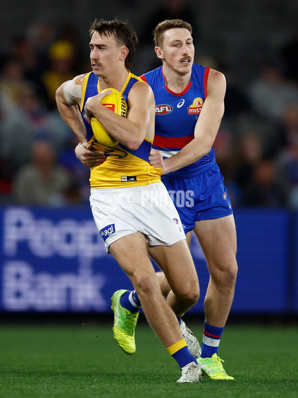 AFL 2025 Round 23 - Western Bulldogs v West Coast - A-61506695