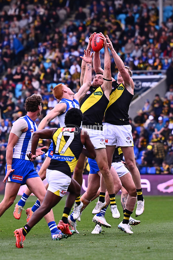 AFL 2025 Round 23 - North Melbourne v Richmond - A-61506721