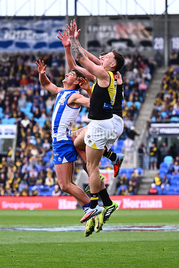 AFL 2025 Round 23 - North Melbourne v Richmond - A-61506723
