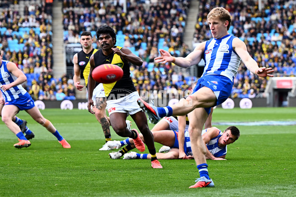 AFL 2025 Round 23 - North Melbourne v Richmond - A-61506727