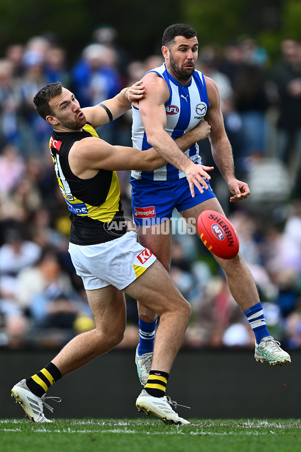 AFL 2025 Round 23 - North Melbourne v Richmond - A-61506740