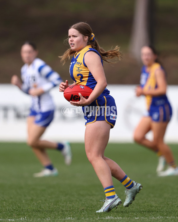 VFL 2025 First Semi Final - North Melbourne Werribee v Williamstown - A-61512280