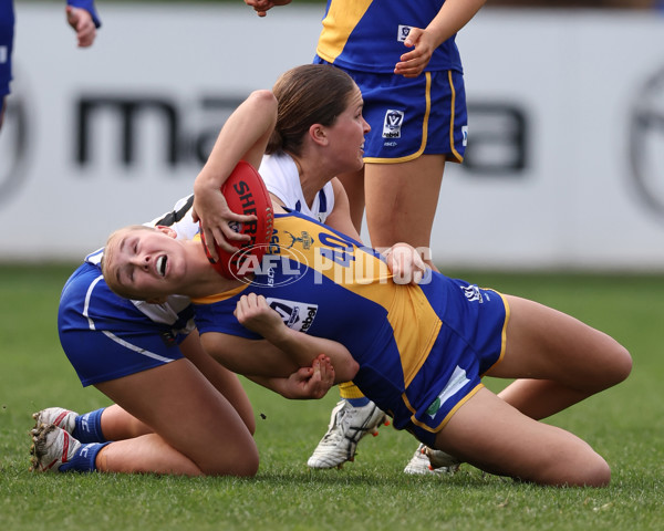 VFL 2025 First Semi Final - North Melbourne Werribee v Williamstown - A-61512281