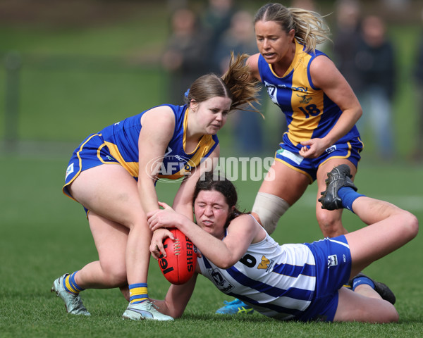 VFL 2025 First Semi Final - North Melbourne Werribee v Williamstown - A-61512283