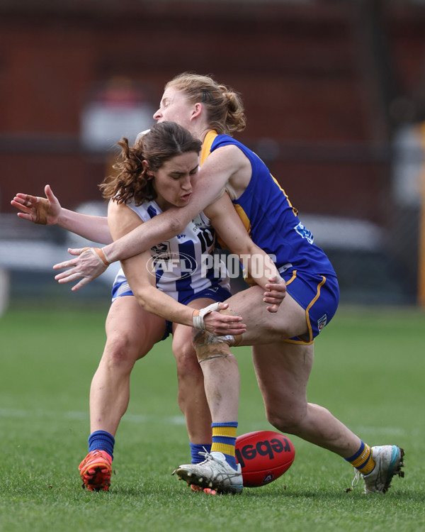 VFL 2025 First Semi Final - North Melbourne Werribee v Williamstown - A-61512316