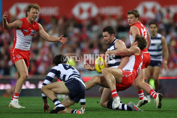AFL 2025 Round 23 - Sydney v Geelong - A-61512329