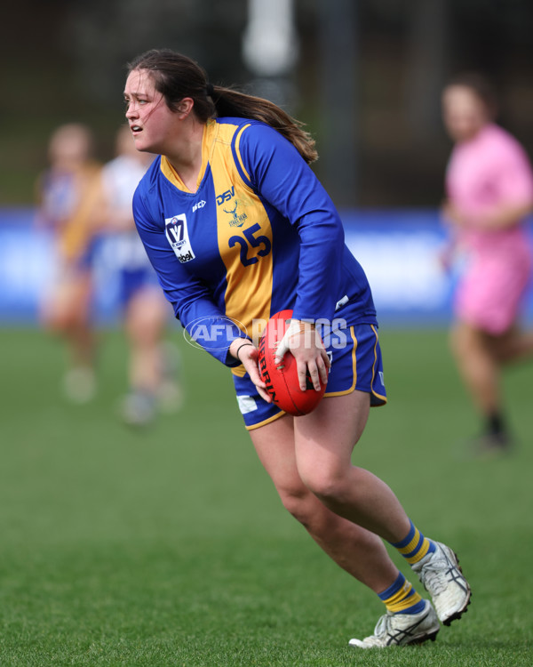 VFL 2025 First Semi Final - North Melbourne Werribee v Williamstown - A-61513455