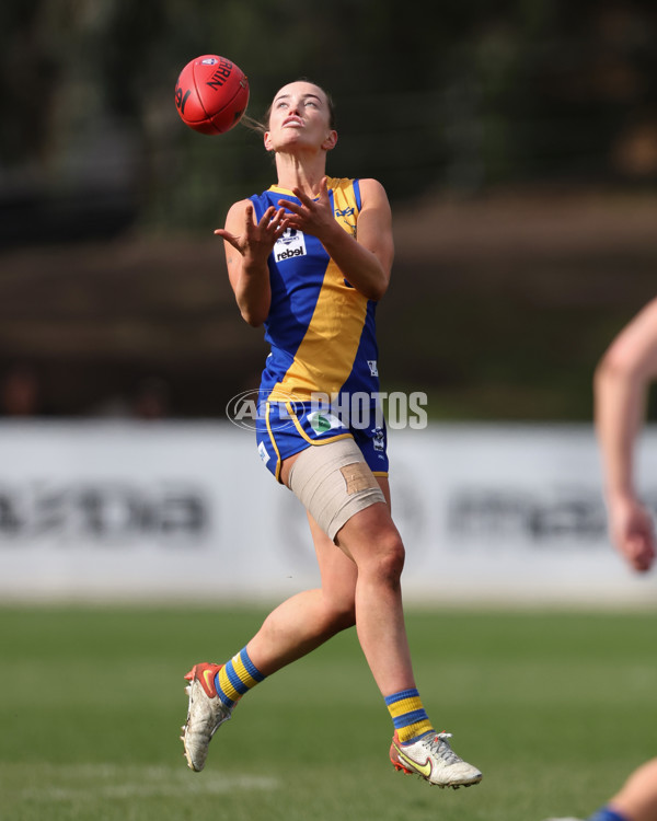 VFL 2025 First Semi Final - North Melbourne Werribee v Williamstown - A-61513494