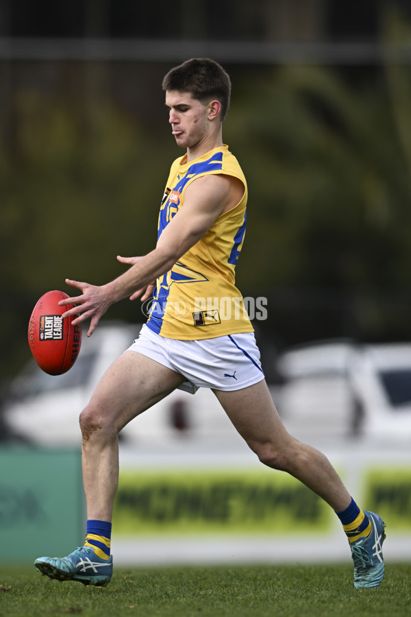 Coates League Boys 2025 Round 18 - Northern Knights v Western Jets - A-61515222