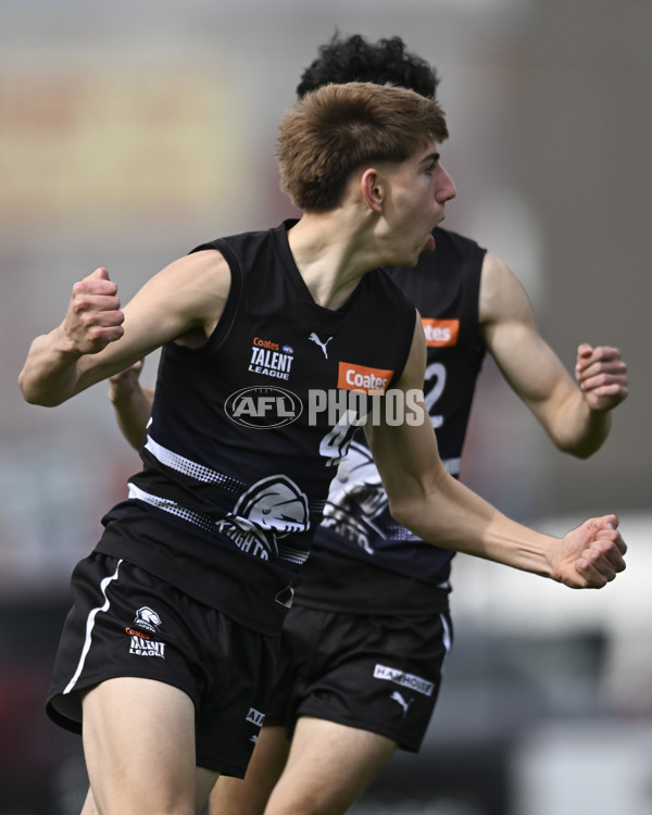 Coates League Boys 2025 Round 18 - Northern Knights v Western Jets - A-61515224